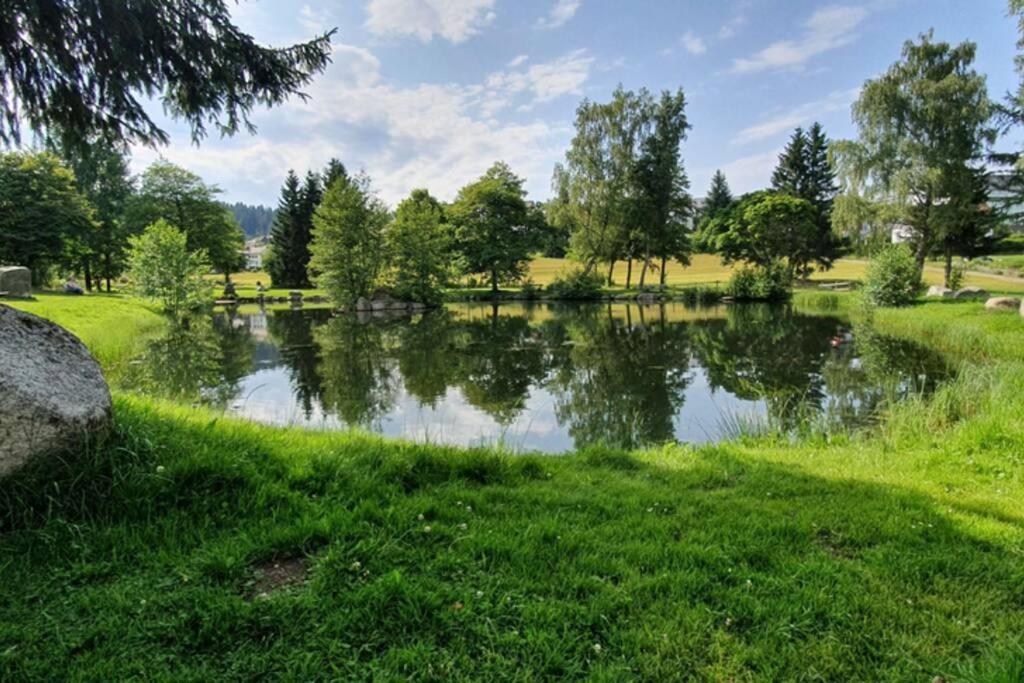 Black Forest Kuckucksnest Schönwald im Schwarzwald Exterior foto