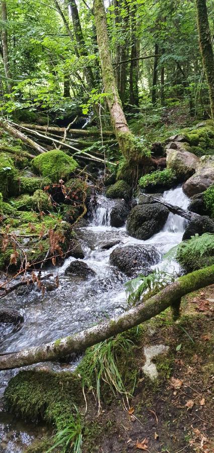 Black Forest Kuckucksnest Schönwald im Schwarzwald Exterior foto