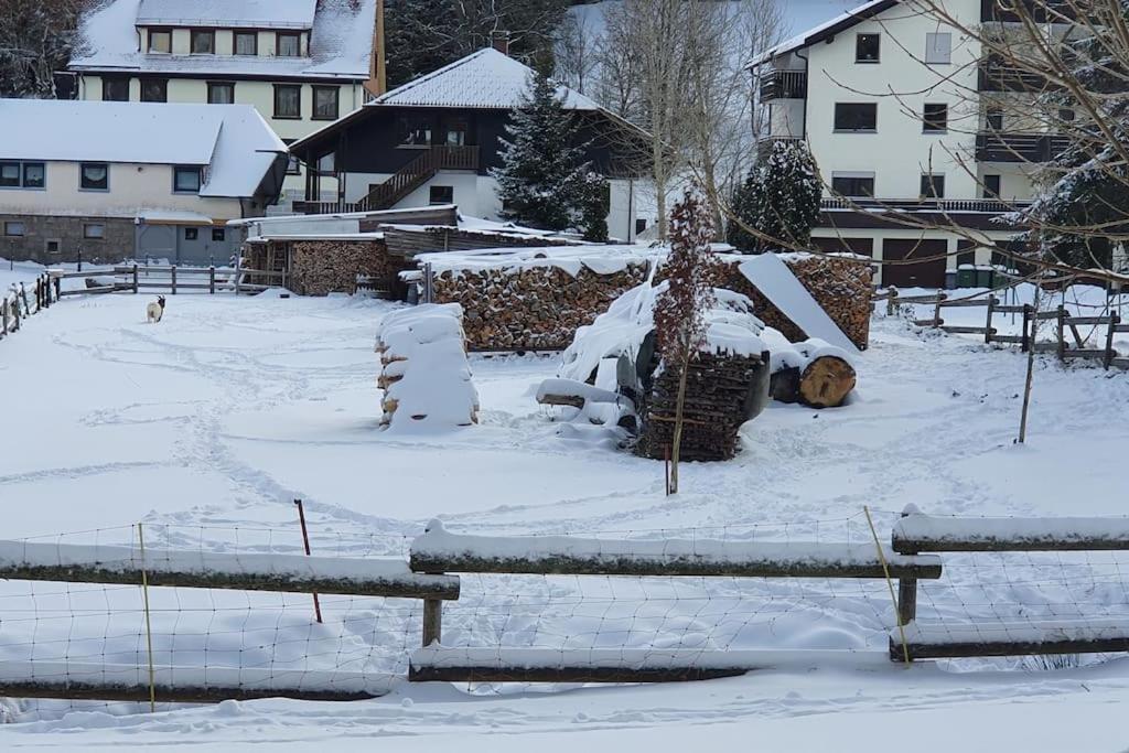 Black Forest Kuckucksnest Schönwald im Schwarzwald Exterior foto