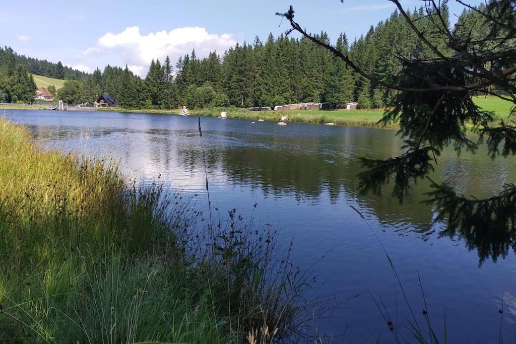 Black Forest Kuckucksnest Schönwald im Schwarzwald Exterior foto