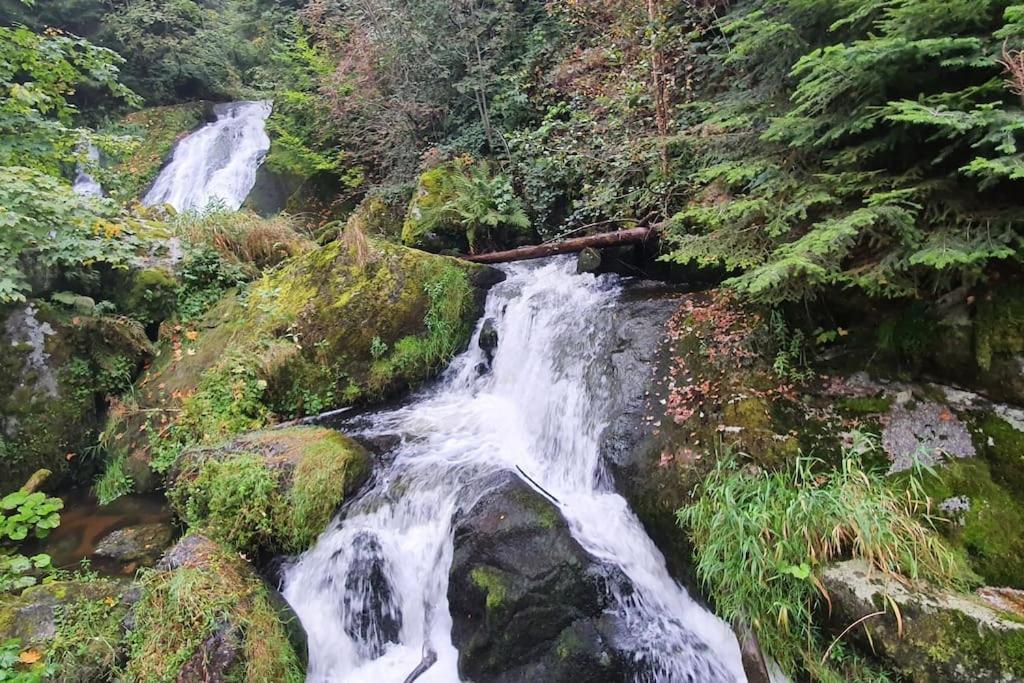 Black Forest Kuckucksnest Schönwald im Schwarzwald Exterior foto