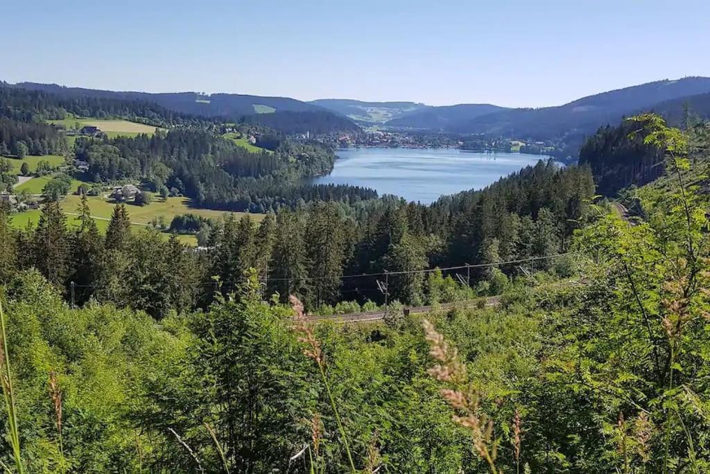 Black Forest Kuckucksnest Schönwald im Schwarzwald Exterior foto