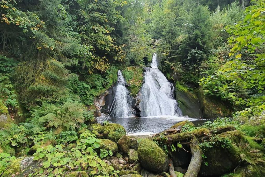 Black Forest Kuckucksnest Schönwald im Schwarzwald Exterior foto