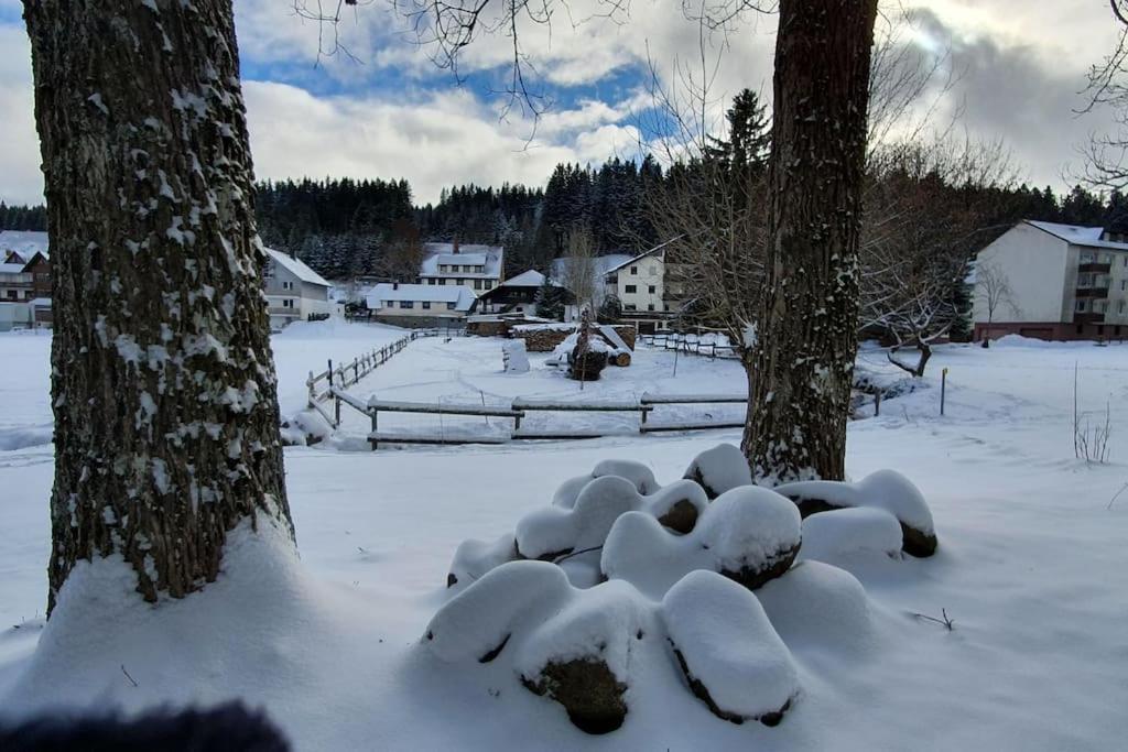 Black Forest Kuckucksnest Schönwald im Schwarzwald Exterior foto